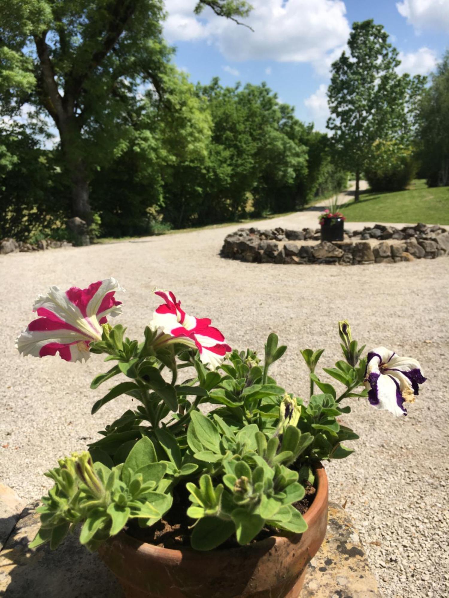 Coutillard Parisot (Tarn-et-Garonne)