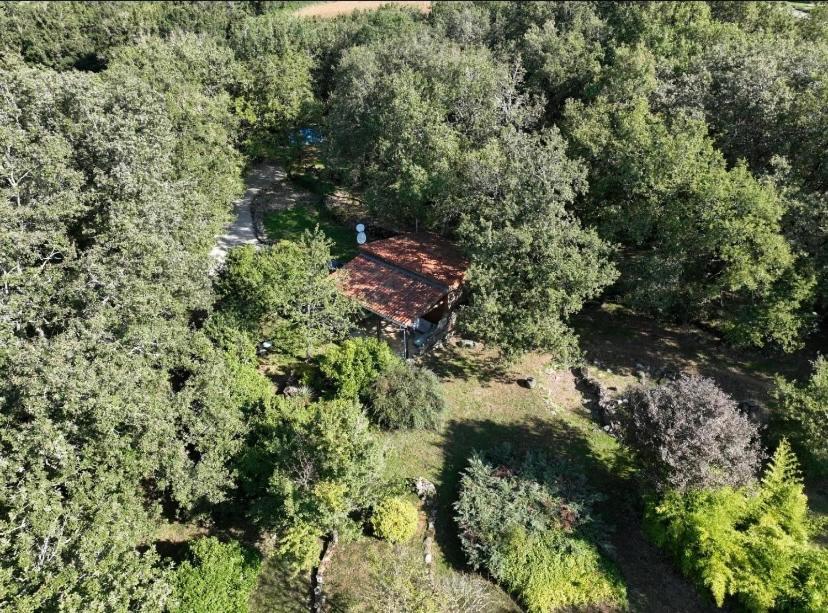 Coutillard Lodge
